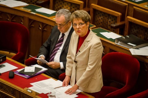 Hoffmann-Rozsa(1)(960x640)(1).jpg (Hoffmann Rózsa)