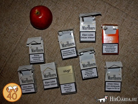 Kétfarkú Kutyapárt a trafikmutyiról (Kétfarkú Kutyapárt a trafikmutyiról)