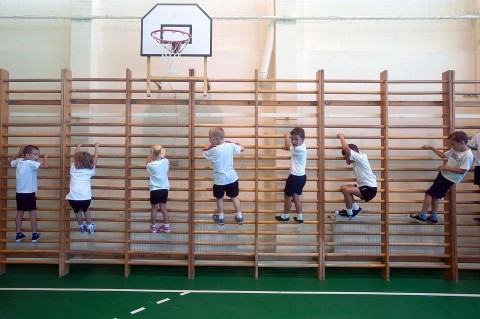 Testneveles-ora(1)(960x640)(1).jpg (testnevelés)