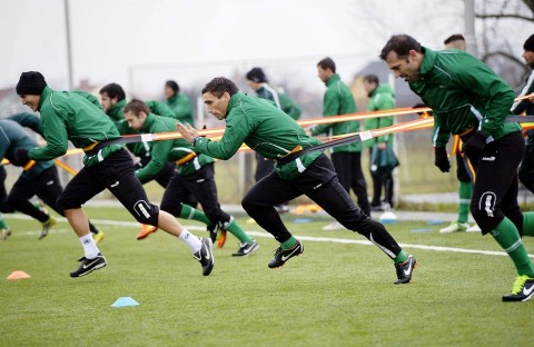 Tököli Attila (tököli attila, )