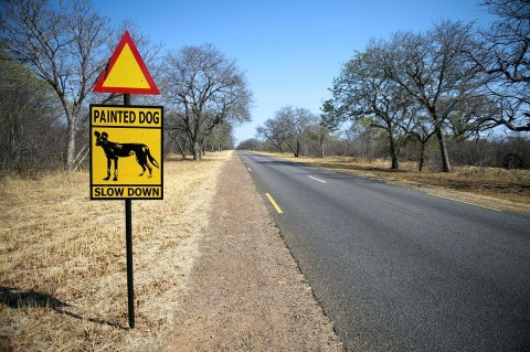 Zimbabwe út (zimbabwe, országút, )