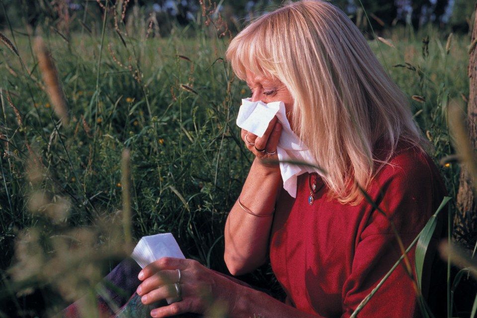 allergia (pollen)