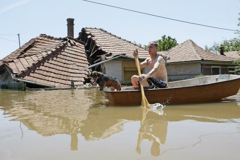 árvíz (árvíz, felsőzsolca)