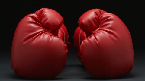 bokszkesztyu(960x640)(2).jpg (bokszkesztyű, ökölvívás, )