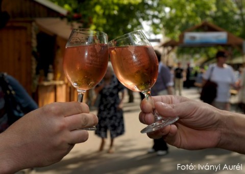 borfesztivál szeged (borfesztivál, szeged, )