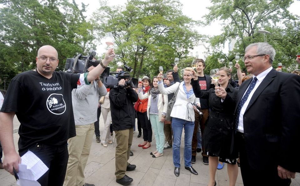 borflashmob (bor, flashmob)