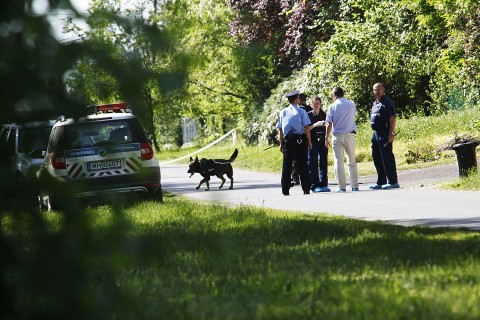 bűnügy (bűnügy, )