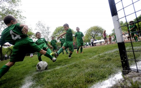 ferencváros (ferencváros, ftc, )