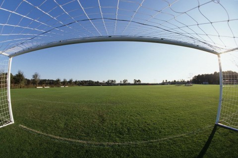 foci, stadion (foci, stadion, )