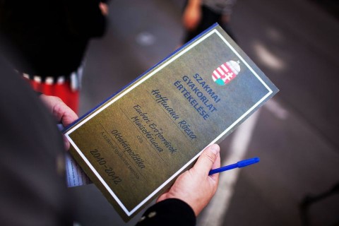 hoffmann rózsa bizonyítványa (hoffmann rózsa, bizonyívány)