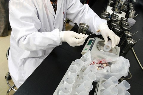 húsvizsgálat (húsvizsgálat, laboratórium, )