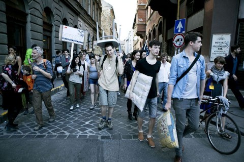 költözik a sirály (költözés, sirály, )