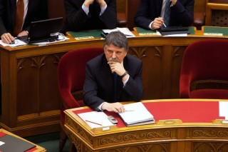 kövér lászló (kövér lászló, )