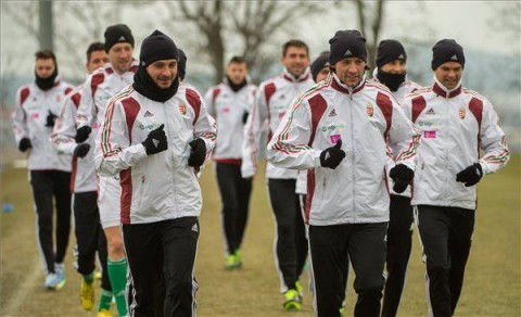 labdarúgó válogatott (labdarúgó-válogatott, )