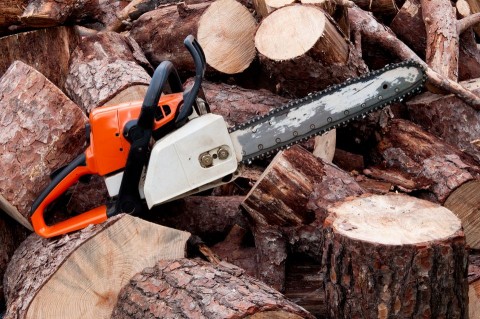 lancfuresz(210x140)(2).jpg (láncfűrész)