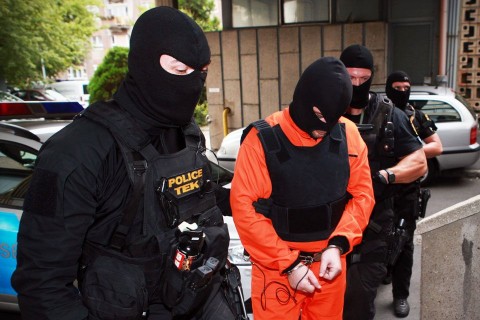 portik tamás (portik tamás, tek, maffia, )