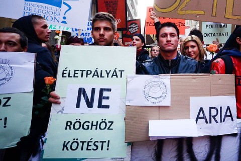 röghöz kötés (röghöz kötés)