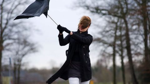 szeles idő (szeles idő, esernyő, )