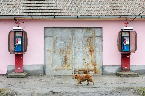 telefonfülke (telefonfülke)