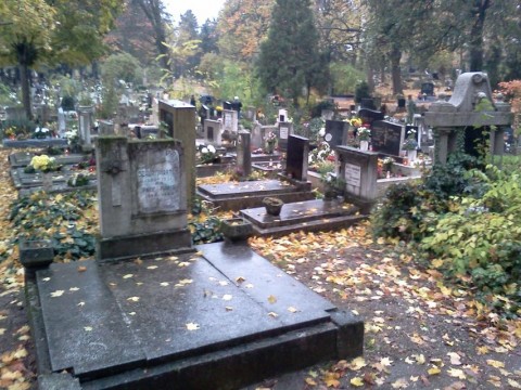 temeto-Gyor(1)(210x140)(1).jpg (temető Győr)