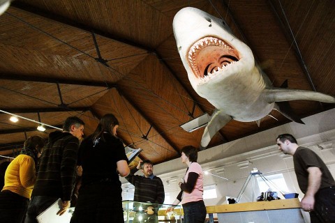 természettudományi múzeum (természettudományi múzeum)