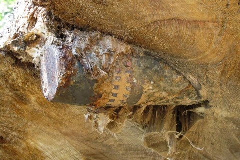 világháborús gránát (világháborús gránát)