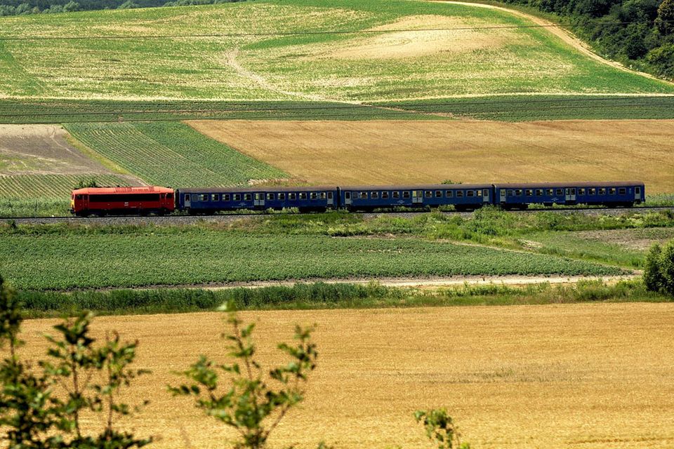 vonat bakony (vonat, bakony, mező)