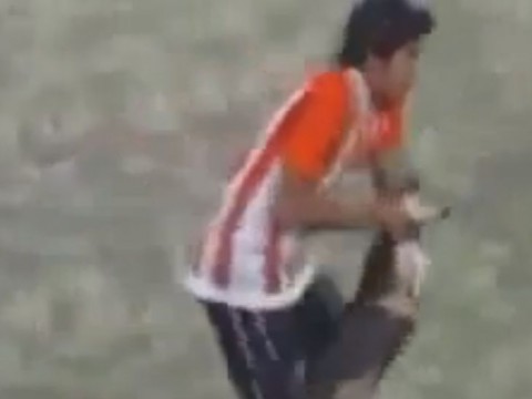 Állatkínzás (állatkínzás, )