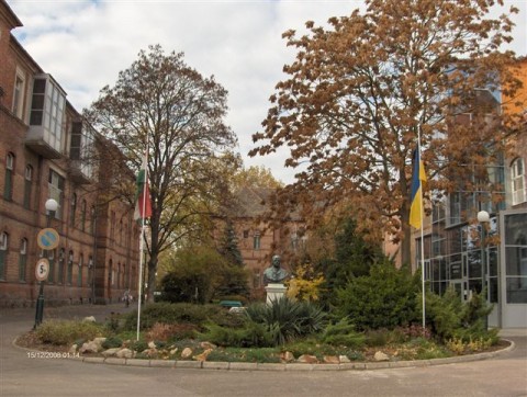 Erzsébet Kórház (kórház, vásárhely, hódmezővásárhely)