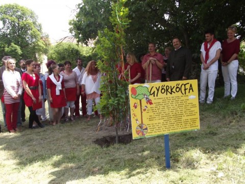 Győrkőcfesztivál (Győrkőcfesztivál)