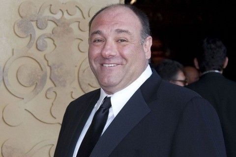 James-Gandolfini(210x140)(1).jpg ( James Gandolfini)