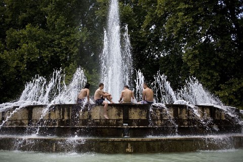 Margitsziget(1)(650x433)(1).jpg (margitsziget)