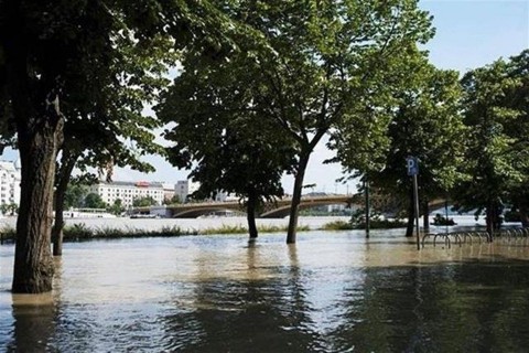 Margitsziget(1)(1)(960x640)(1).jpg ( Margitsziget)