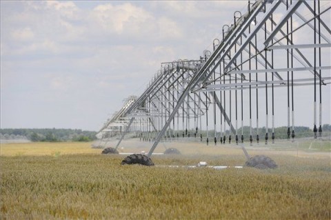 Öntözörendszer Kiszomboron (Öntözörendszer Kiszomboron)