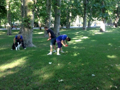 Puskás Peti frizbizik (Puskás Peti frizbizik)