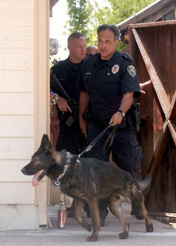 Rendorkutya(210x140)(1).jpg (rendőrkutya, )