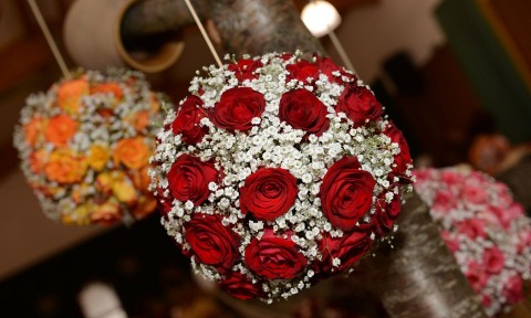 Rózsaünnep (rózsaünnep, rózsa, szőreg)