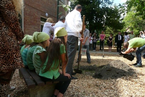 Smaragdfa(960x640).jpg (smaragdfa, kórház, hódmezővásárhely, )