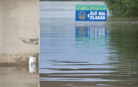 áradás paksnál (árvíz 2013, paks, )
