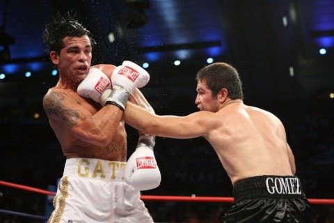 arturo gatti (arturo gatti)