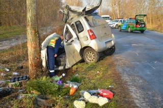 baleset fának csapódott autó (baleset)