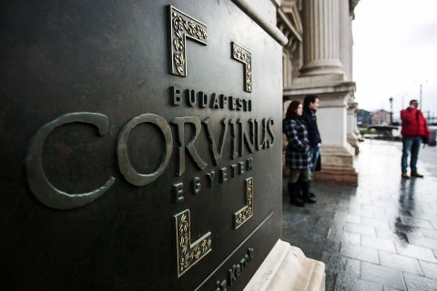 corvinus (corvinus, )