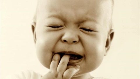 csecsemo(1)(960x640).jpg (csecsemő, )