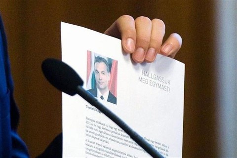 level(1)(1)(960x640).jpg (levél)