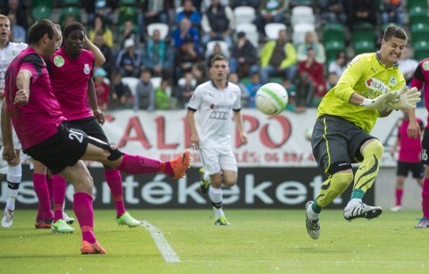 mtk (mtk budapest, )