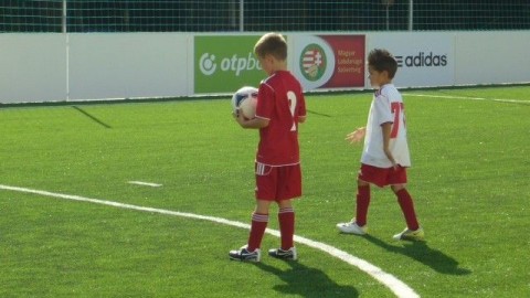 műfüves pálya (műfüves focipálya, műfüves pálya, )