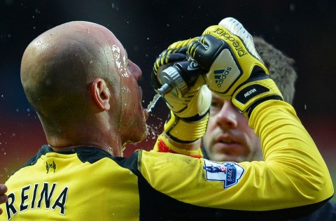 pepe reina (pepe reina, reina)