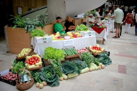 tanyaprogram (tanyaprogram, )