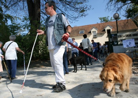 vak(1)(960x640)(1).jpg (vak, )