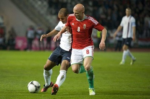 varga józsef (varga józsef, )